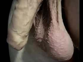 Balls swinging indian gay hot porn