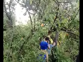 Cruising universitario hd hot gay porn