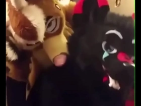 Fursuiters fuck in bathroom while bottom moans girdle hot bodybuilder gay porn