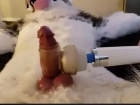 Furry cums 7th time in a row with wand gay bride porn